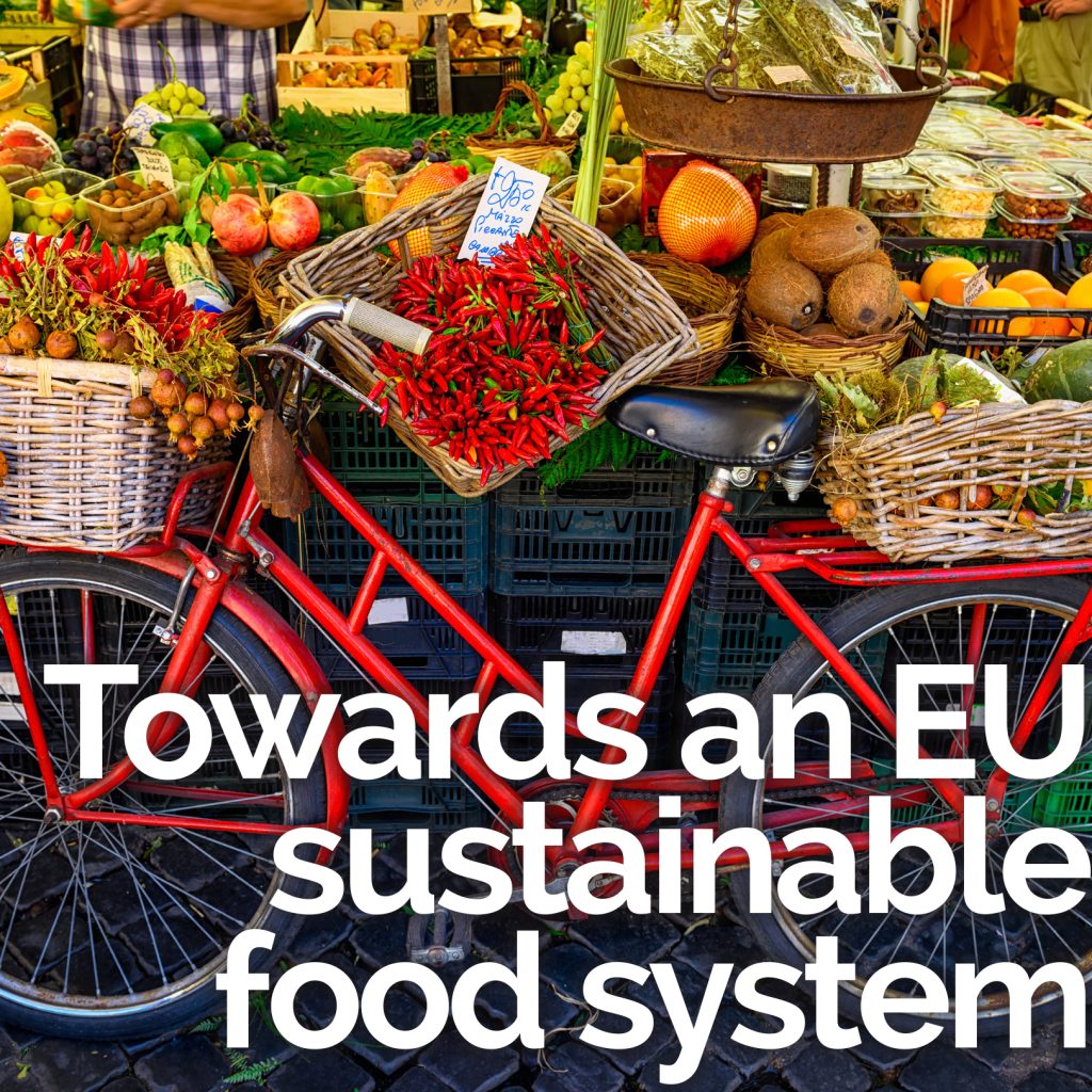 Sustainable Food Systems Academia Europaea Cardiff Knowledge Hub